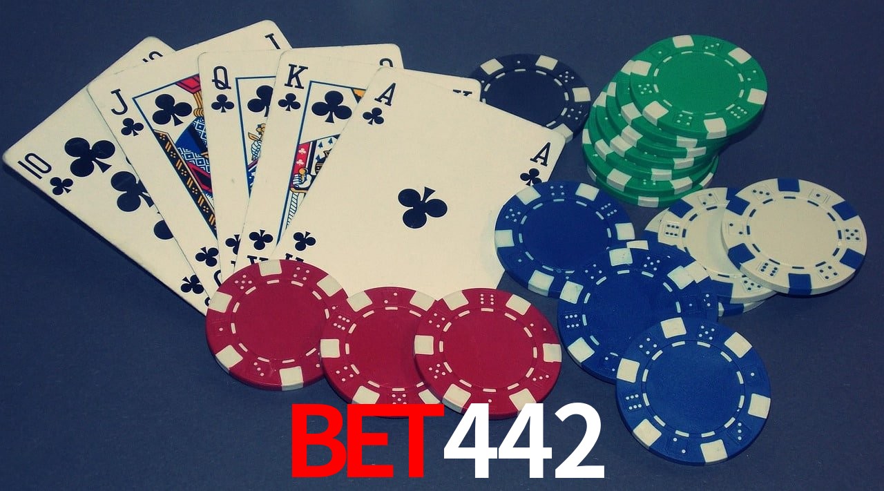 Sports Statistics bet442